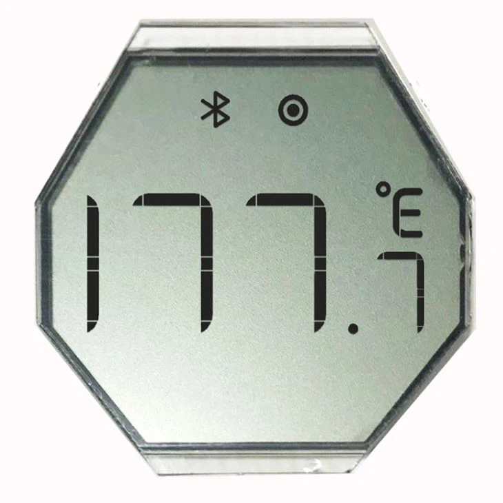 Polygon Reflective Segment LCD Display